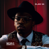 Ndim Endinguye - Zuko SA
