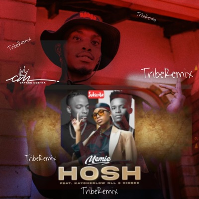 Hosh (feat. Memie & Kaychelor NLL) [Tribe Version] - Single