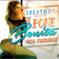 Se Pone Bonita (feat. Zplatman) - Single - Flaklebeat