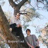 Modern Fool - Single