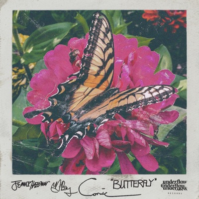 BUTTERFLY (feat. Comic) - Single