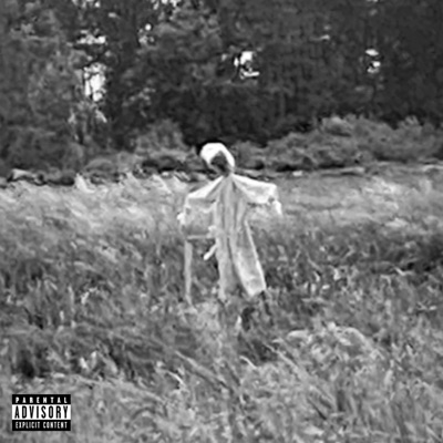 Pointed - Single