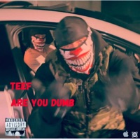 Are You Dumb - Single - Teef