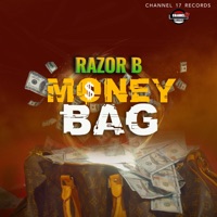 Money Bag - Single - Razor B