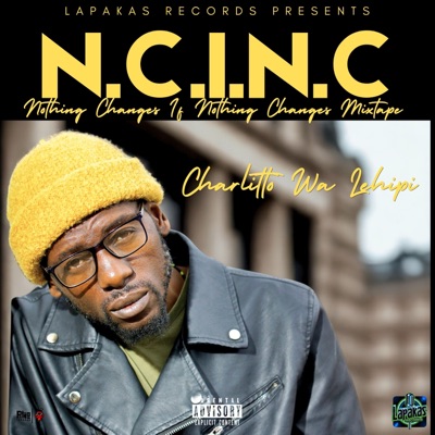 Nothing Changes If Nothing Changes Mixtape