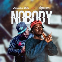 Nobody (feat. Ayesem) - Single - Amoako Belo