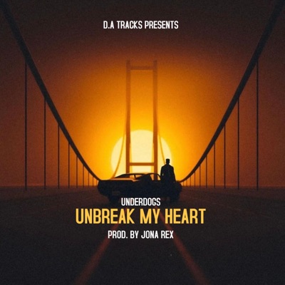 Unbreak My Heart - Single