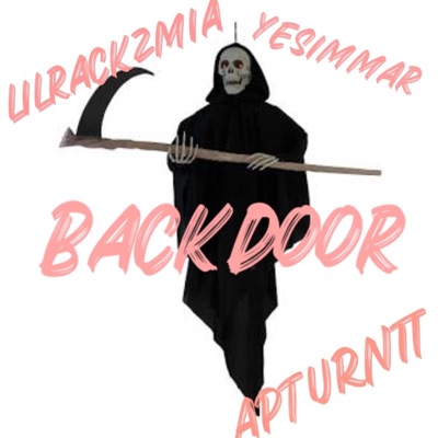 Backdoor (feat. lilrackzmia & yesimmar__) - Single