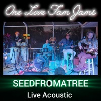 High Grade (Live Acoustic with One Love Fam Jams) - Single - Seedfromatree & One Love Fam Jams