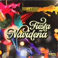 Fiesta Navideña - Single - Nativo De Fito Martínez