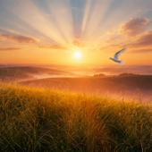 Astăzi este ziua, cântărește bine