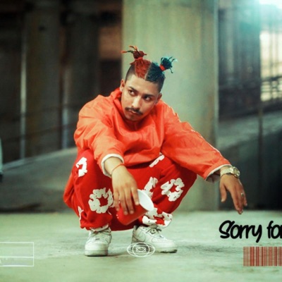 Sorry For You Guys - Single