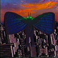 Rareboy : Metamorfose - Okyioz