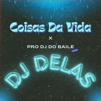 COISAS DA VIDA x PRO DJ DO BAILE (feat. MC ROGE & MC CACAU CHU) - Single - DJ DELAS