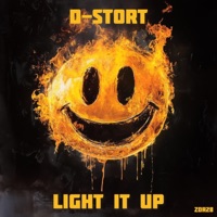 Light It Up (Radio Edit) - Single - D-Stort