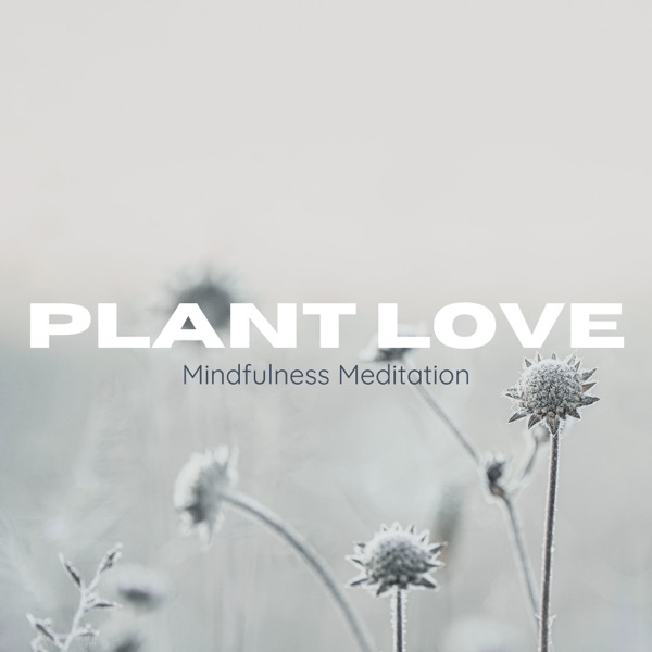 Mindfulness Meditation