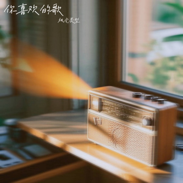 你喜欢的歌 - Single