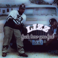 Fuck How You Feel (feat. Lizz) - Single - DGR World