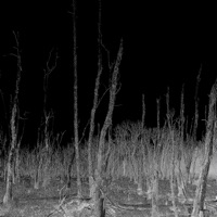 Haunted - Single - Hxvsfly