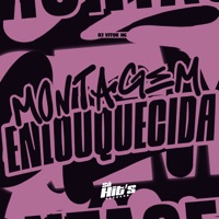 Montagem Enlouquecida - Single - DJ VITOR HG