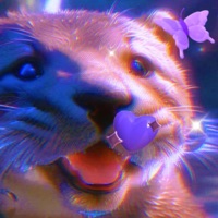 REGULAR OTTER (100% Hydration) - Single - Meleto