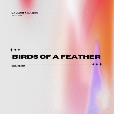 DjDixon - Birds Of A Feather (feat. Dj Zeko) [Sax Remix]