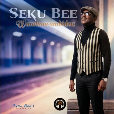 Wandinorumbidza - Single