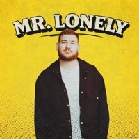 Mr. Lonely - Single - Tawnted