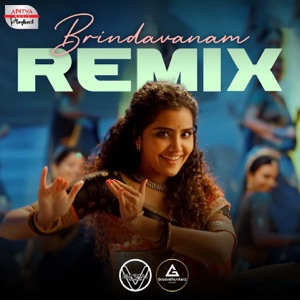 Brindavanam Remix (From 