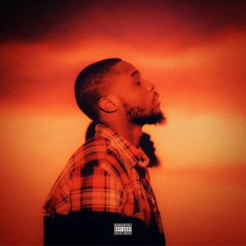 All Night (feat. lifeofsaeed) L Roman