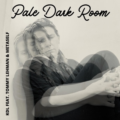 Pale Dark Room (feat. Tommy Lehman & Metaself) - Single