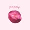 Poppy - Chillpeach lyrics