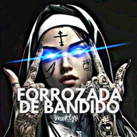Forrozada de Bandido - Single - MC Talibã, DJ SILVINHA, DJ Vitinho BR & MC Donzela