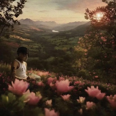 No Se Envd (feat. EZ.Shadows) - Single