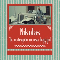 Te asteapta in usa bagajul - Single - Nikolas
