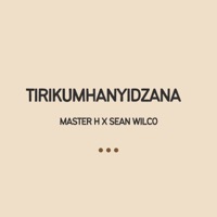 Tirikumhanyidzana (feat. Sean Wilco) - Single - Master H