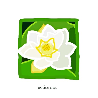 Notice Me - Single