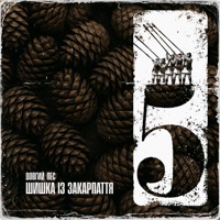 Шишка із Закарпаття (feat. Jointjay) - Single - Довгий Пес