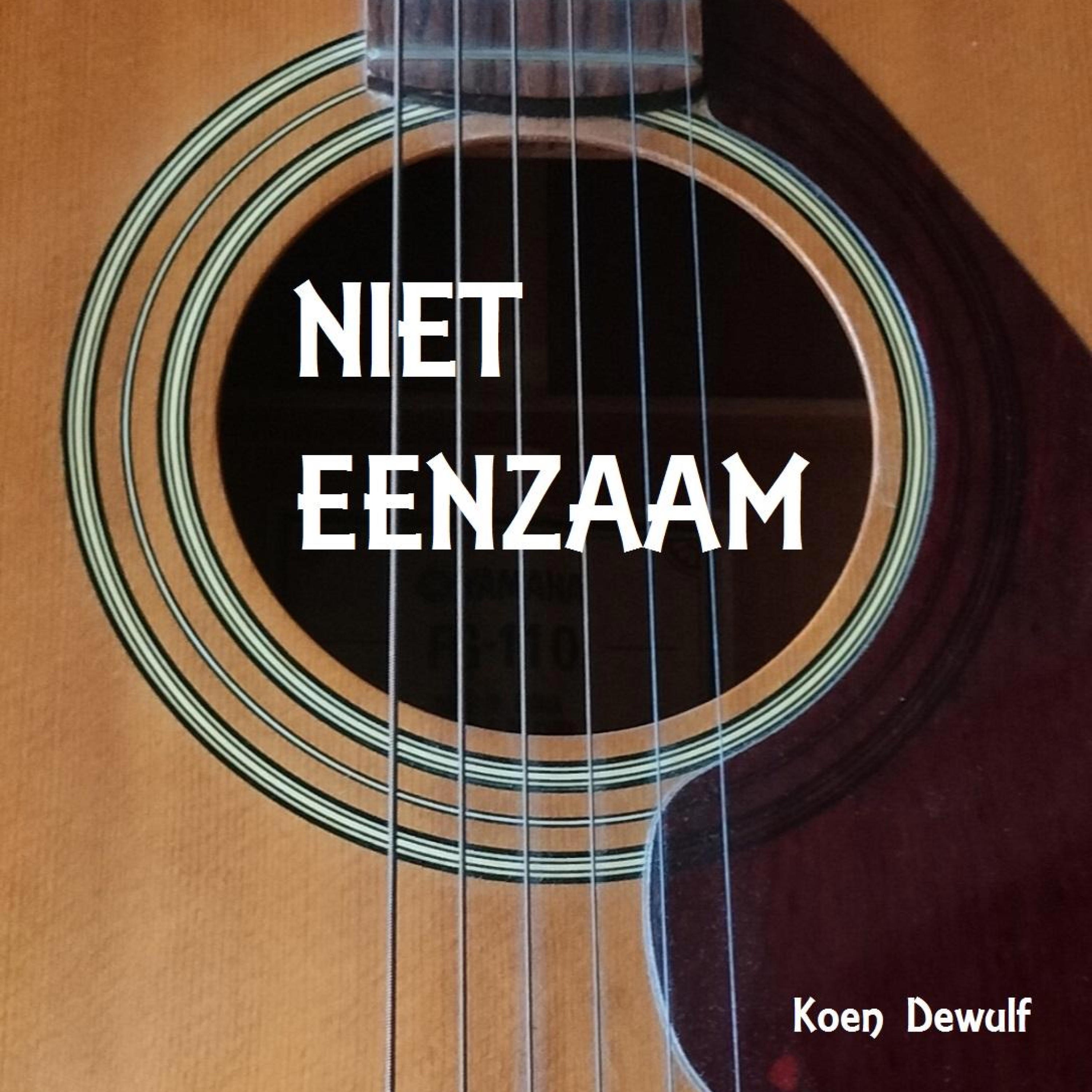 NIET EENZAAM - Single