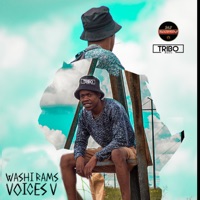 Voices V - Washi Rams