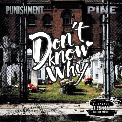Dont Know Why (feat. Pine) - Single