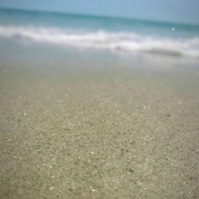 beachday (feat. ssoh) - Single