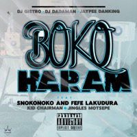 Boko Haram (feat. DJ Dadaman, JayPee DaKing, Snokie, kiid Charmaine, Jingles Motsepe & Fefe Laku Dura) - Single - Dj Gistro
