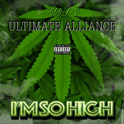 I'm so high (feat. Cooly D & Malzoom) - Single