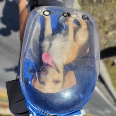 cusco (Speed Up) - Single