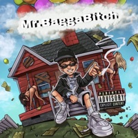Mr.baggaBitch - Single - F.N.B_Ace