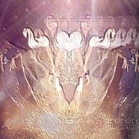 KNIGHT$tRAILFREESTYL3 (feat. AKUMA777) - Single - LuvAster