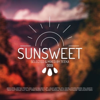 Sunsweet #009 | Downtempo & Organic House DJ Set (DJ Mix)