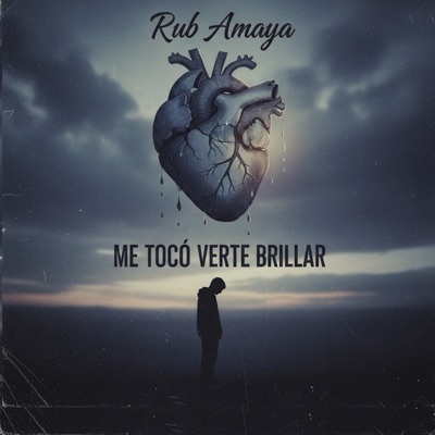 Me Toco Verte Brillar (Cover) - Single