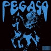 PEGASO (feat. Francyexe, KASH80016 & Speedy) - Single